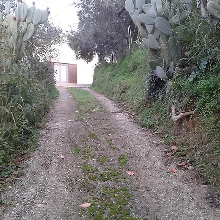 Casa Marzuco Calatafimi